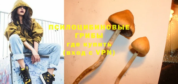 apvp Алексин