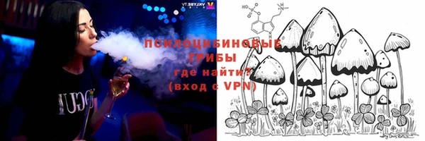 гашик Ростов