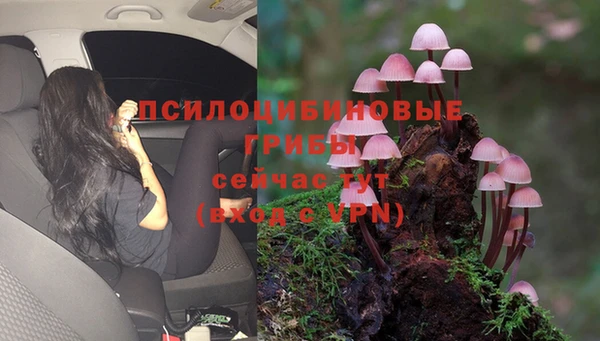 гашик Ростов