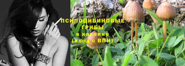 стафф Абдулино