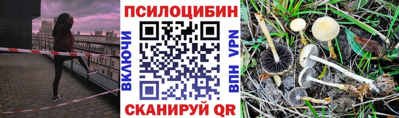 shop наркотические препараты  блэк спрут зеркало  Нальчик  Галлюциногенные грибы мицелий 