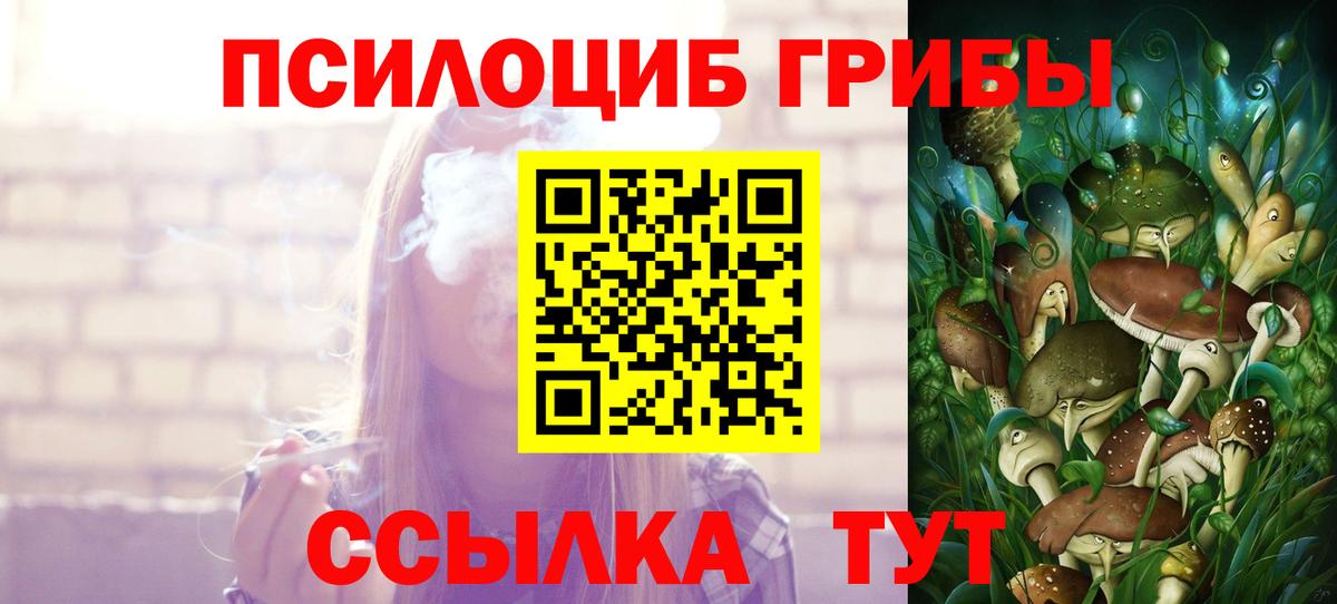 Галлюциногенные грибы Psilocybine cubensis  Вход с VPN  Нальчик  Псилоцибиновые грибы Magic Shrooms 